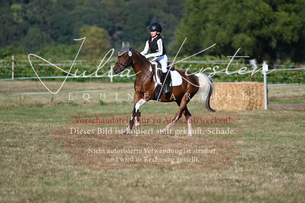 DSC_8998-2 | Pferde- und Turnierfotografie in Westsachsen. Pferdeportraits, Auftragszeichnungen und intuitive Kunst.