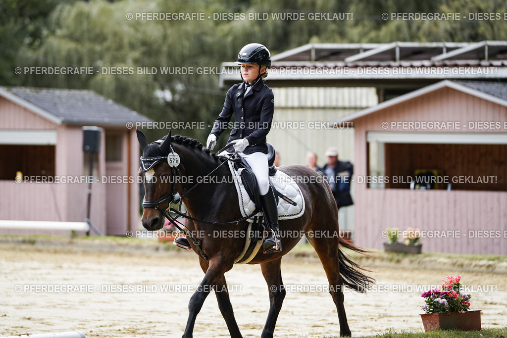 DSC05295 | Pferdegrafie