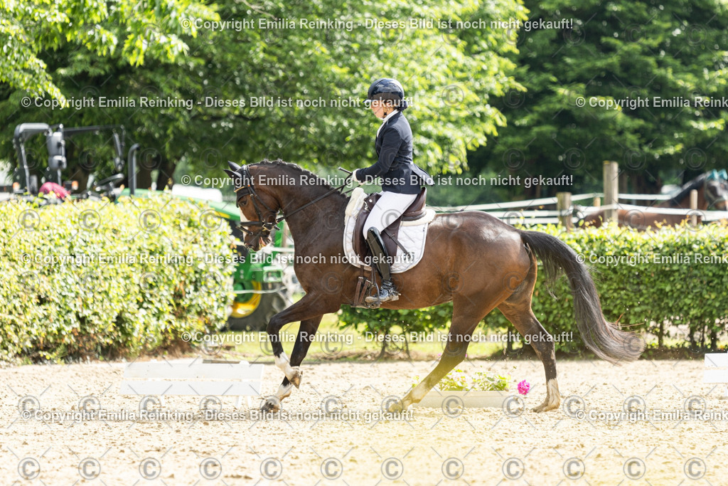 CL5A6066 | Emilia Reinking Fotografie - Realisiert mit Pictrs.com