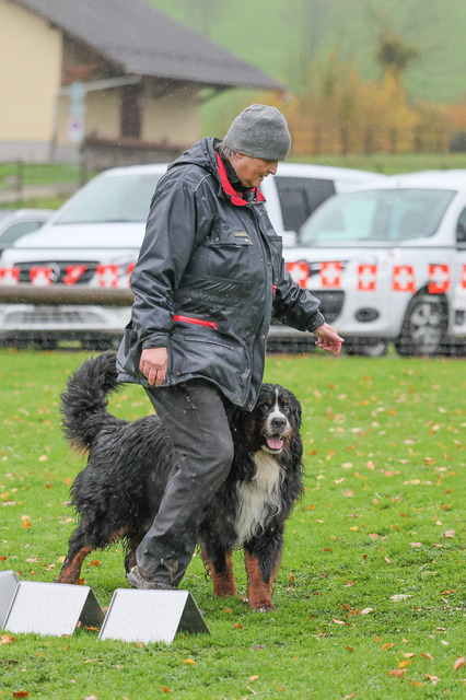 2025_Rally_Obedience_SM-205 | Ich fotografiere Hundeausstellungen, Sportanlässe, Zuchtstätten, Hundezucht, Hundeportrait, Lagotto - Realisiert mit Pictrs.com