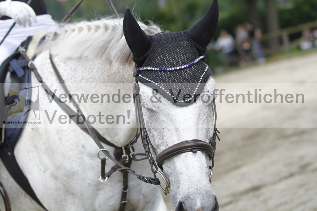 _MG_4735 | equestrian-live-com