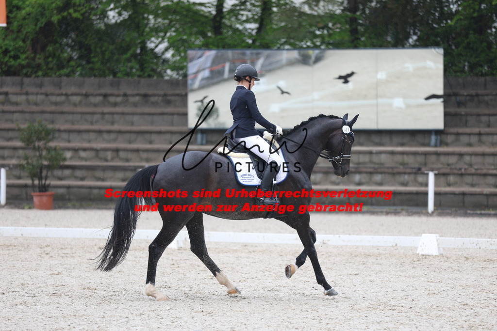 A40A7955 | lmwpictures - Realisiert mit Pictrs.com