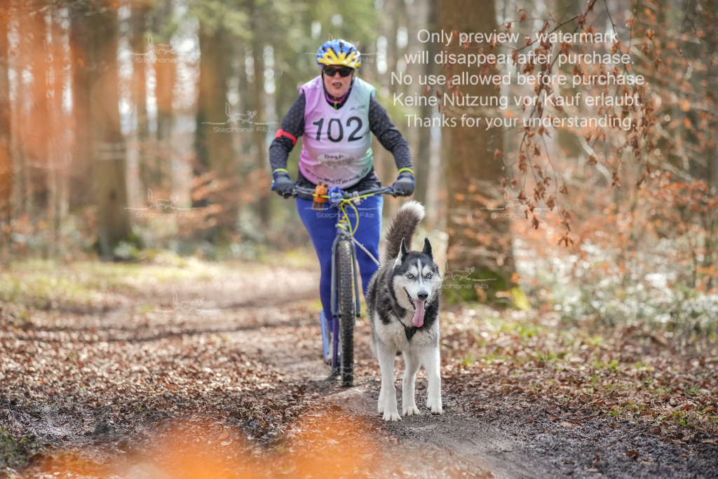 So_Scooter1-113 | stephaniefillaphotographie - Realisiert mit Pictrs.com