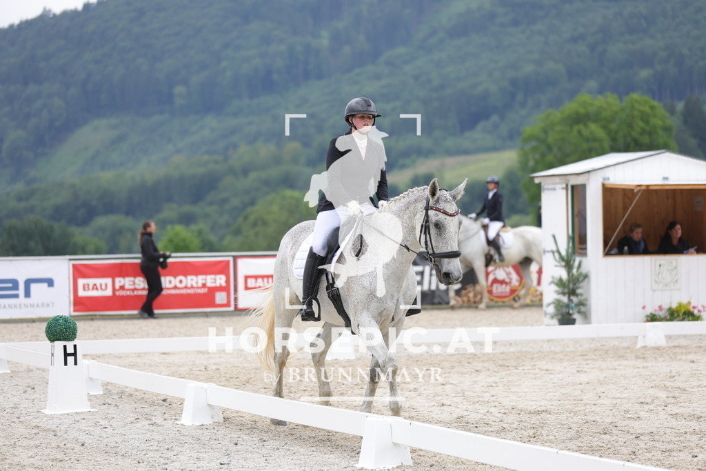 0P6A3539 | Willkommen bei Brunnmayr - Design & Fotografie – Ihrem Spezialisten für Reitturniere und Pferdeveranstaltungen in Oberösterreich, Salzburg und Bayern! Seit über 17 Jahren sind wir leidenschaftlich dabei.