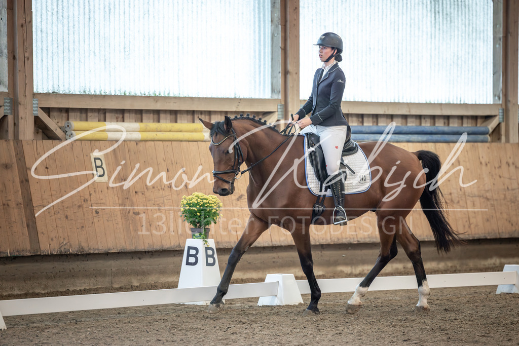 20251011-_3LI6134 | Tierfotografie Pferde, Hunde, Katzen, Haustiere.
Turnierfotografie Reitturniere, Reiten, Springreiten, Dressur in Hanau, dem Main-Kinzig-Kreis und dem Rhein-Main- Gebiet um Frankfurt