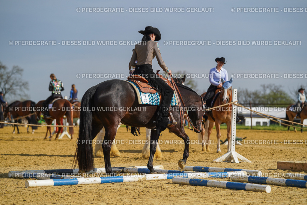 DSC01309 | Pferdegrafie