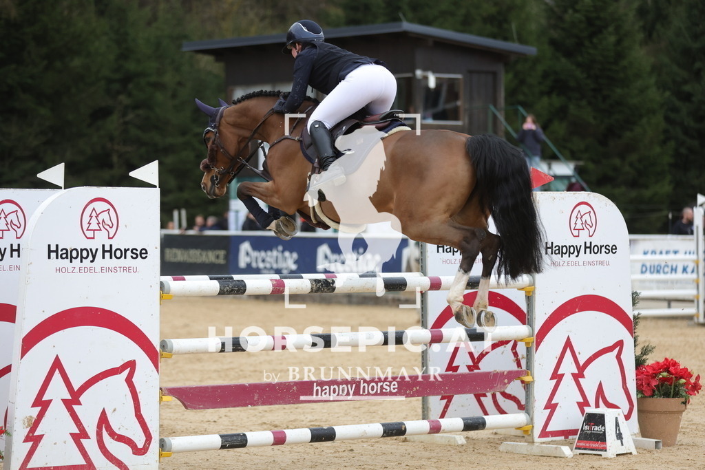 0P6A4324 | Willkommen bei Brunnmayr - Design & Fotografie – Ihrem Spezialisten für Reitturniere und Pferdeveranstaltungen in Oberösterreich, Salzburg und Bayern! Seit über 17 Jahren sind wir leidenschaftlich dabei.