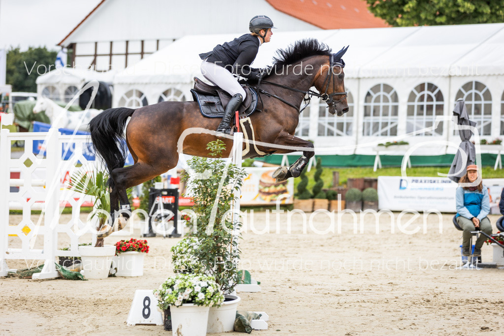 BHO-2PhSpr-M-364 | MomenTaufnahmen Pferdesportfotos