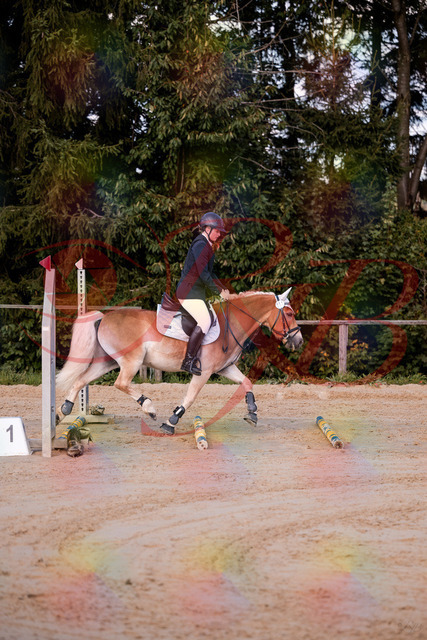 2026_10_03_Siefer-Hof_145425_Z81_34315508 | Professionelle Reitsport-, Turnier- und Eventfotografie von Robert Broda. Galerien mit ausgewählten und bearbeiteten Bildern direkt online ansehen und bestellen.