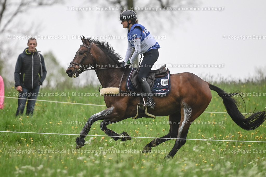 20230513_CCI4_Gelände_0204 | equistock