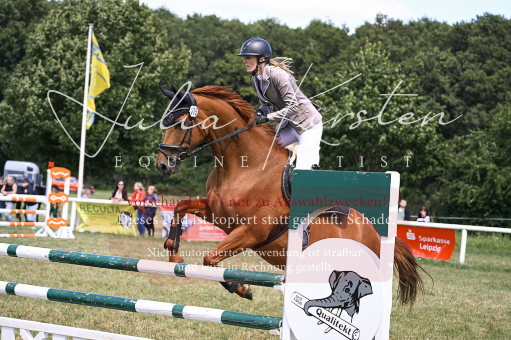 DSC_0235 | Pferde- und Turnierfotografie in Westsachsen. Pferdeportraits, Auftragszeichnungen und intuitive Kunst.