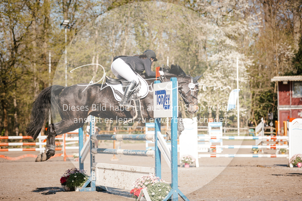 3I6A3715 | Stimmungsvolle Portraits und Reitsportfotografie im Ruhrgebiet und im Münsterland.

Pferdefotografie, Hundefotografie, Tierfotografie, Reportagen, Portraits von Tier und Mensch, Turnierfotografie in Bochum, Recklinghausen, Marl, Haltern am See, Dülmen.. - Realisiert mit Pictrs.com