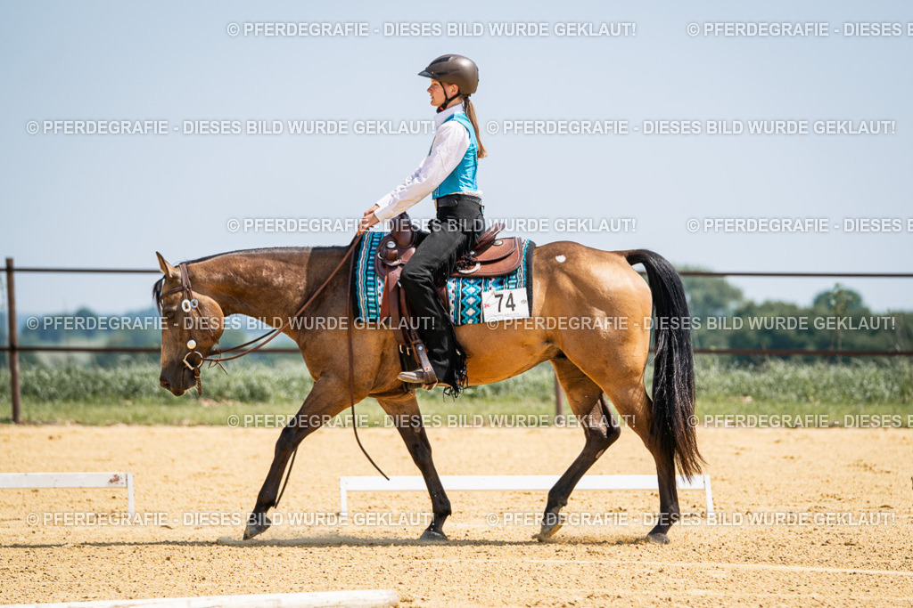 DSC00979 | Pferdegrafie