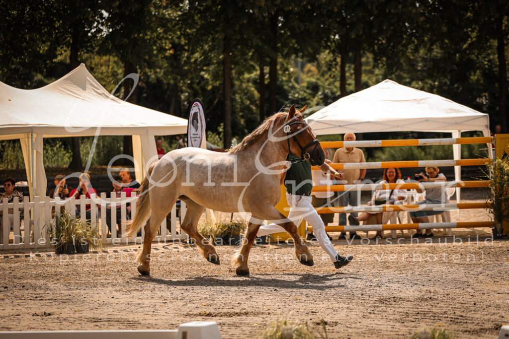 1.Sa00040 | Leoni Ertmer Photography - Realisiert mit Pictrs.com