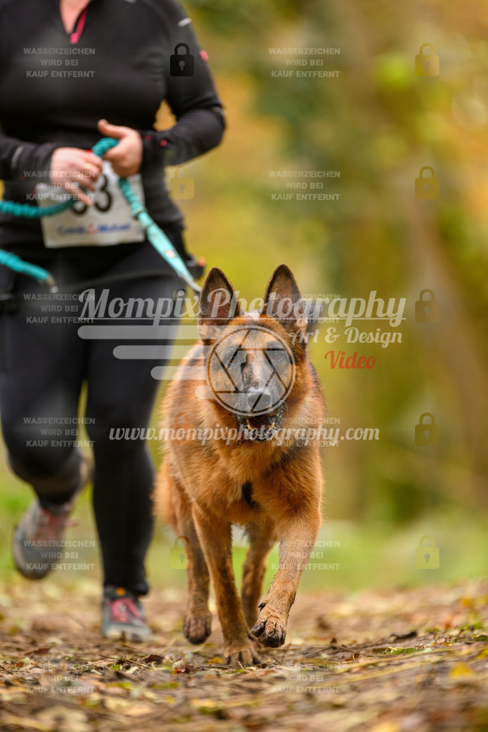 MompixPhotography_Bischwiller24_SA_Canicross-69 | PayLife