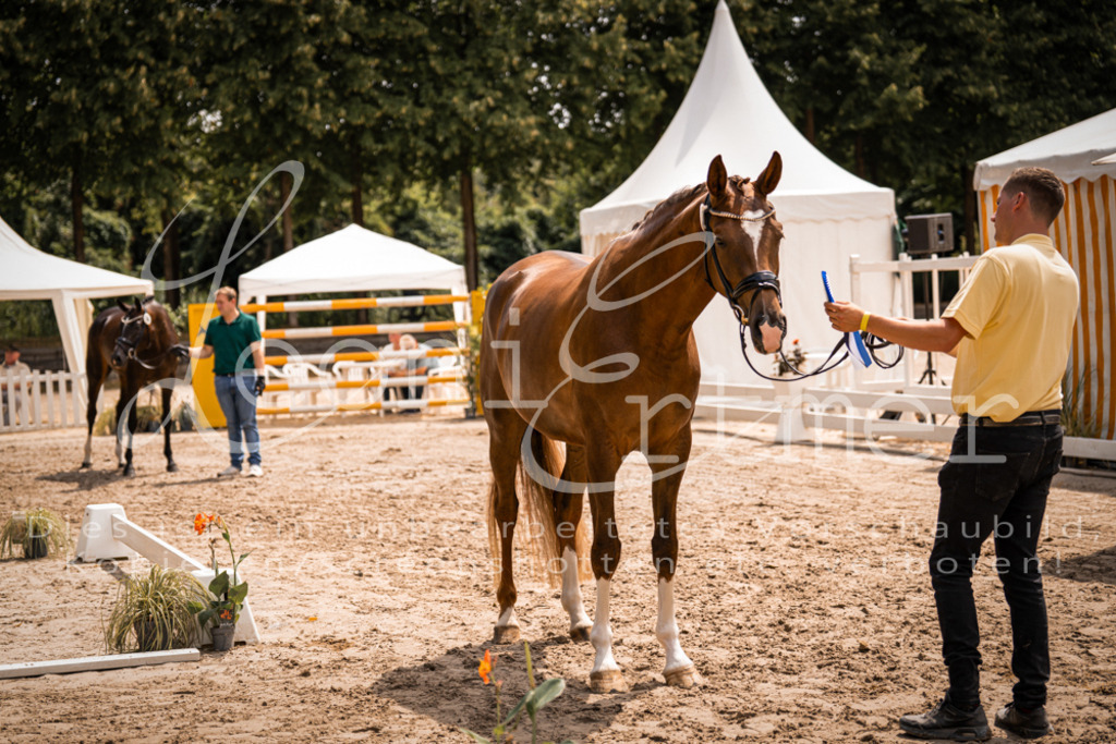 2. Fr00202 | Leoni Ertmer Photography - Realisiert mit Pictrs.com