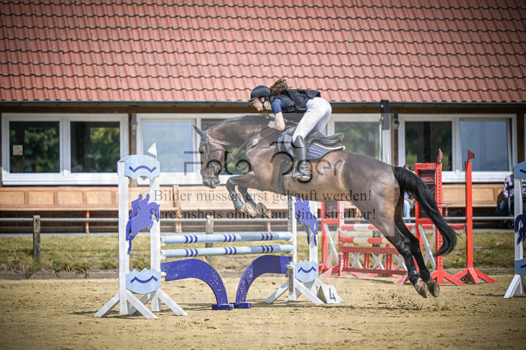 DOS_7182 | Entdecke hochwertige Reitturnierfotos von Foto Oger. Professionell, emotional und authentisch – jetzt Lieblingsmomente im Shop bestellen.Deutschlandweite Turnierfotografie. - Realisiert mit Pictrs.com