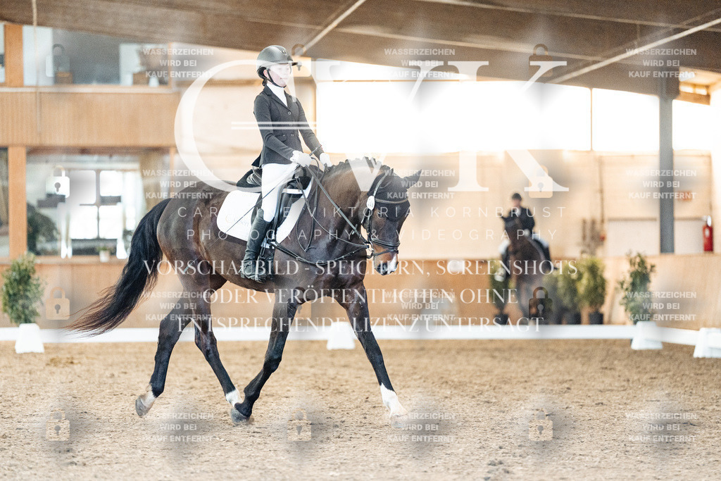 CK907139 | Turnierfotografie Pferdefotografie Trier Rheinland-Pfalz Pferdesport Reitsport Tierfotografie Sportfotografie Pferdevideo Pferdevideografie Equestrianvideography equestrianphotography  - Realisiert mit Pictrs.com