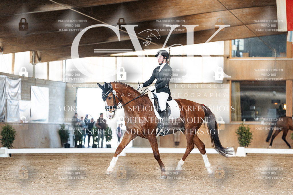 CK901721 | Turnierfotografie Pferdefotografie Trier Rheinland-Pfalz Pferdesport Reitsport Tierfotografie Sportfotografie Pferdevideo Pferdevideografie Equestrianvideography equestrianphotography  - Realisiert mit Pictrs.com