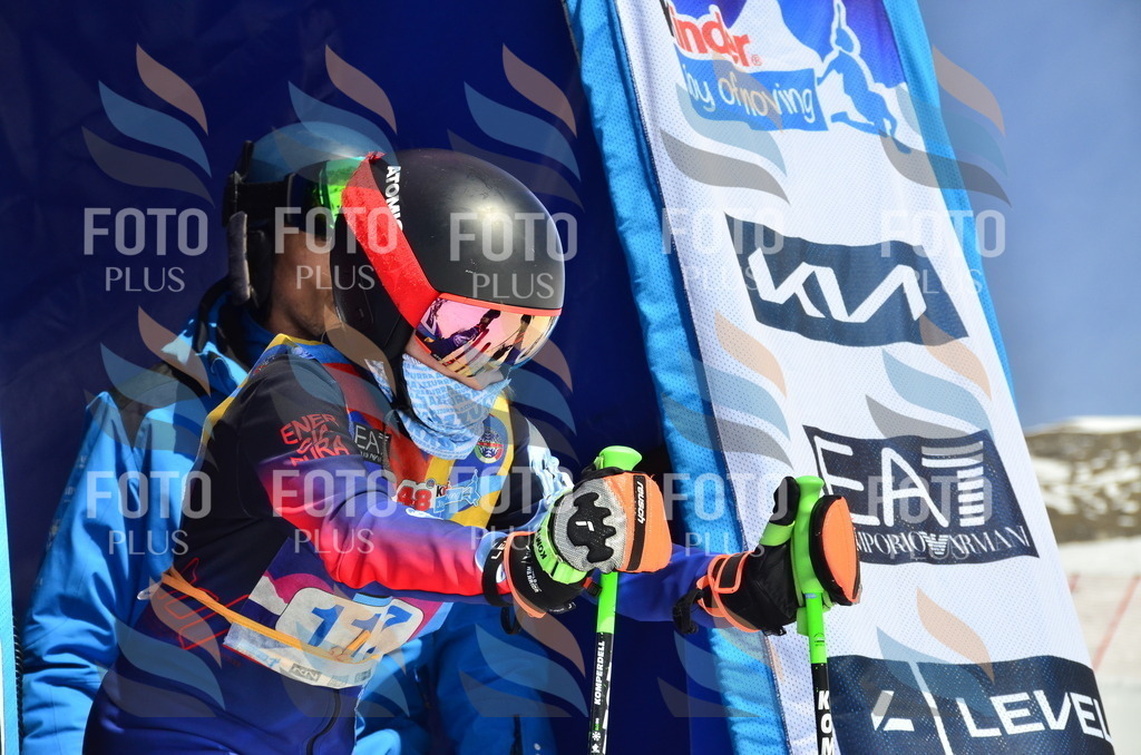 _ELE0700 | holidayphoto