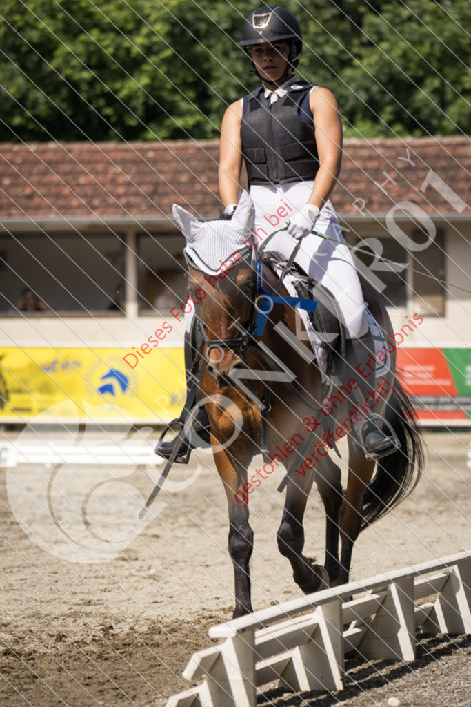 IMG_4999 | Sport-, Event- und Tierfotos in Profiqualität. Einfach auswählen, bestellen und herunterladen. Dein Moment – perfekt festgehalten.