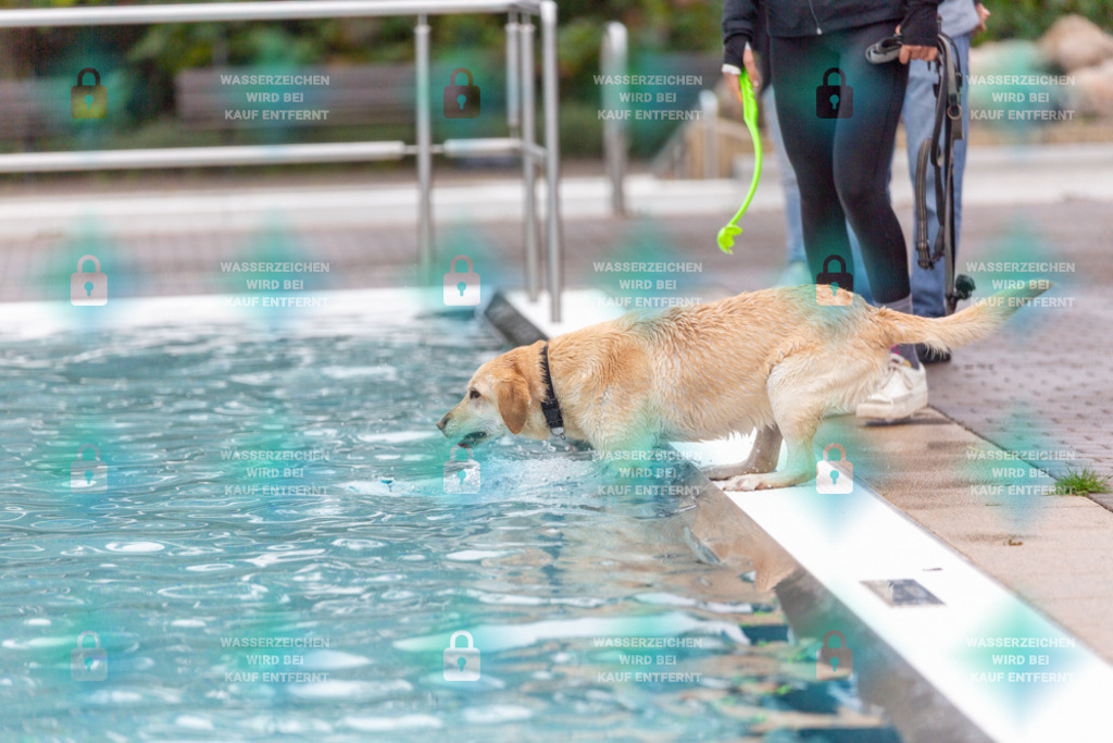 _HP_7131_1000o | HetPix, HetPix Fotodesign, Fotografie, Fotodesign, Webshop, Sportfotografie, Portraitfotografie, Onlineshop, Sportfotografie, Polch, Motorsportfotografie, Eventfotografie