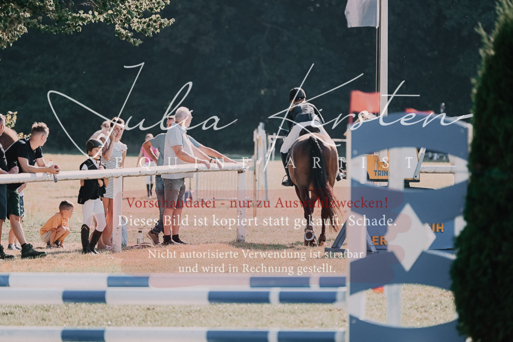 DSC_4818 | Pferde- und Turnierfotografie in Westsachsen. Pferdeportraits, Auftragszeichnungen und intuitive Kunst.