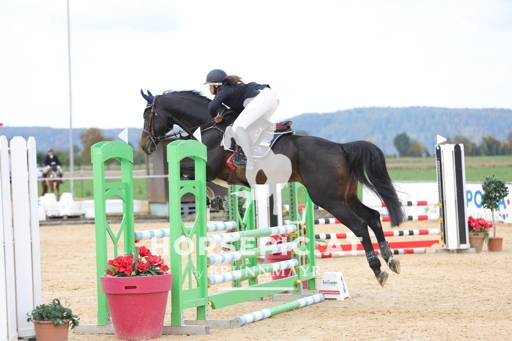 0P6A9406 | Willkommen bei Brunnmayr - Design & Fotografie – Ihrem Spezialisten für Reitturniere und Pferdeveranstaltungen in Oberösterreich, Salzburg und Bayern! Seit über 17 Jahren sind wir leidenschaftlich dabei.
