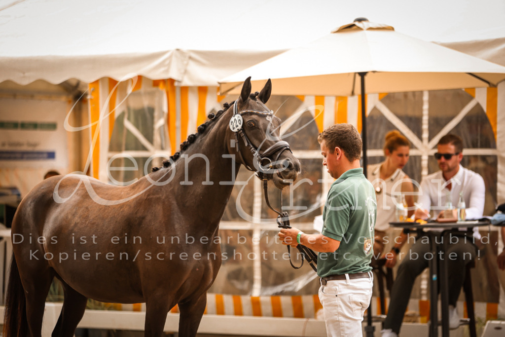 07.So00033 | Leoni Ertmer Photography - Realisiert mit Pictrs.com