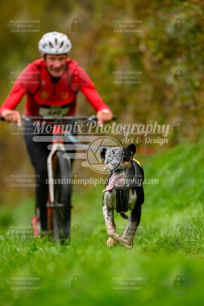 MompixPhotography_20TSB_E8_DS1-56 | PayLife