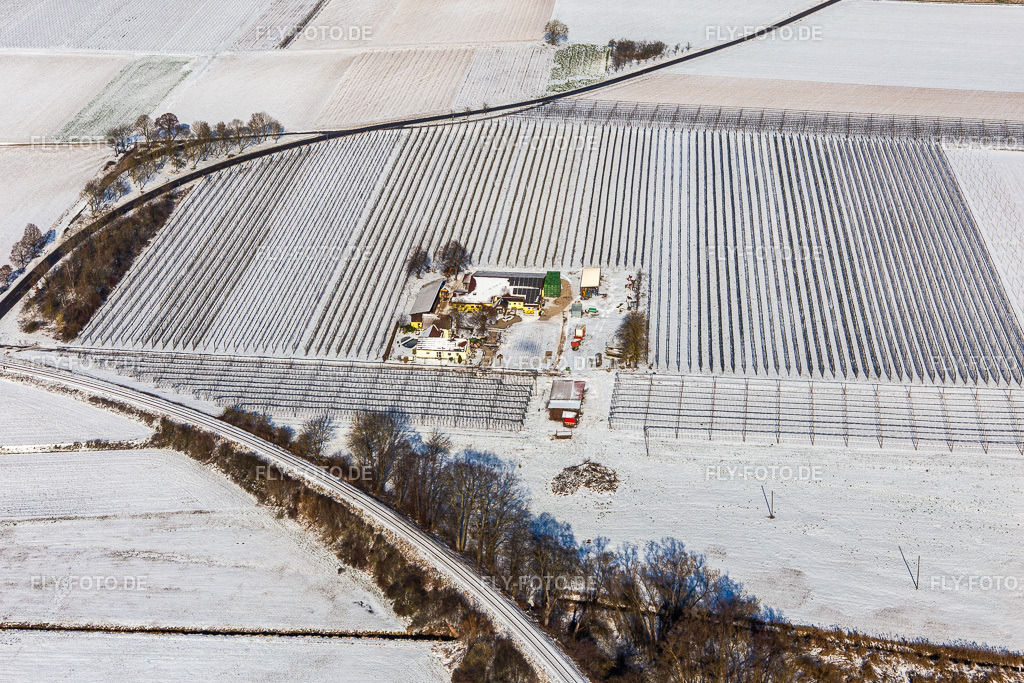 Winterluftbild im Schnee von Spargel- und Obsthof Gensheimer | Luftbild: Winterluftbild im Schnee von Spargel- und Obsthof Gensheimer in Steinweiler im Bundesland Rheinland-Pfalz in Deutschland. Foto: IMG_124767.jpg vom 11.02.2021 durch ©2025 Werner Riehm fly-foto.de/copyright - Realisiert mit Pictrs.com