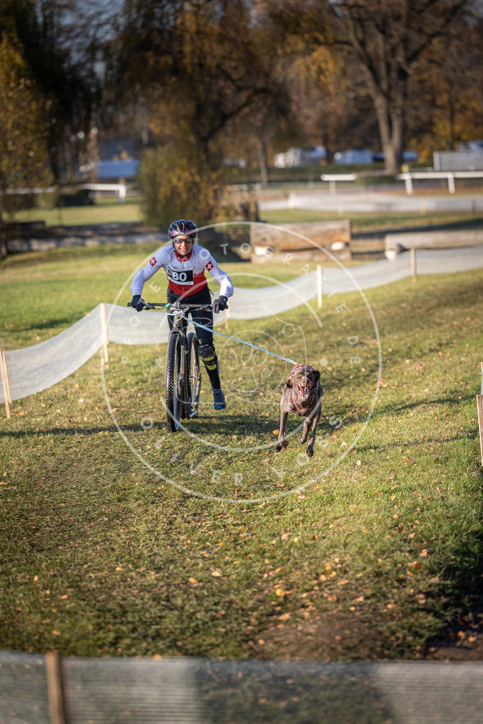 CaniXpix_DV3A1514 | Hundefotografie, Tierfotograf, Pfotenfotografie, Fotoshooting Hund, Hunde Portrait, Hundesport, Hundeportraits, Heideshooting, Hunde, Sportfotograf, Hundefotograf, Turnierhundsport, THS,  - Realisiert mit Pictrs.com