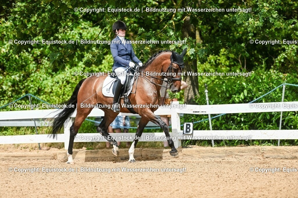 20230716_01_Dressurprüfung Kl.M_0171 | equistock