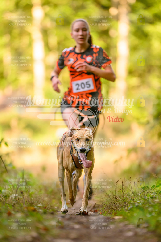 MompixPhotography_Yens2025_B3-218 | PayLife