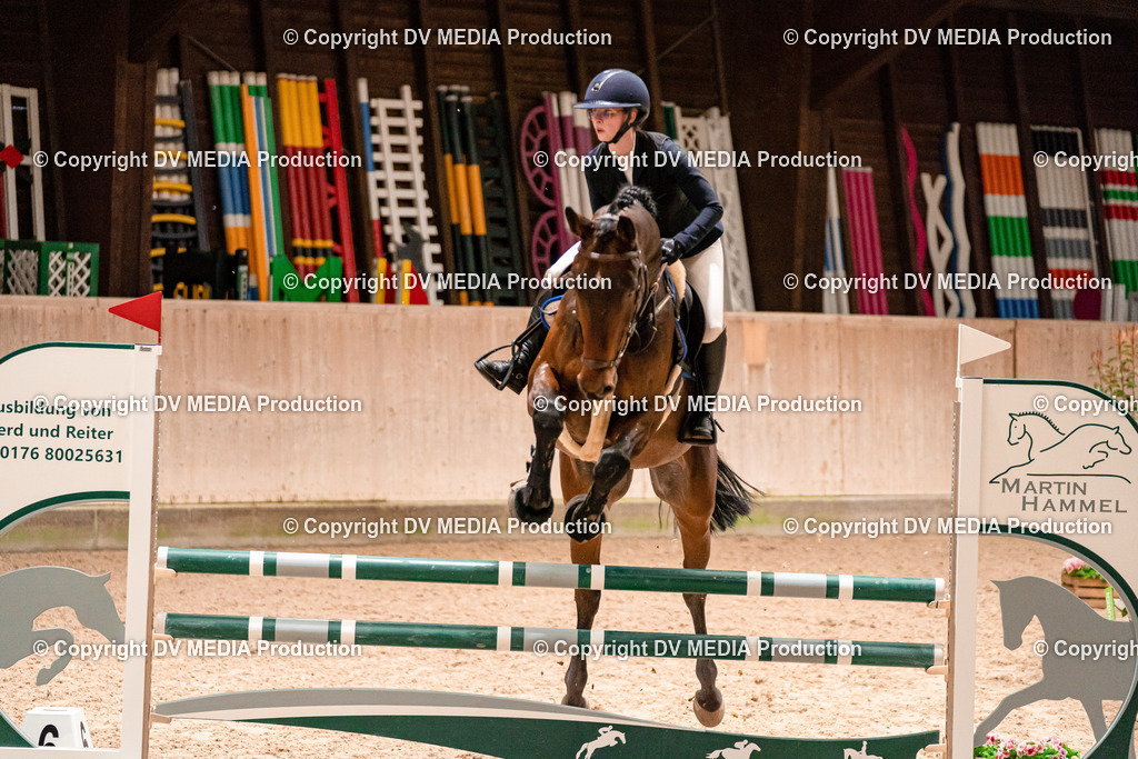 Springen Tag 1-235 | dv-media-shop - Realisiert mit Pictrs.com