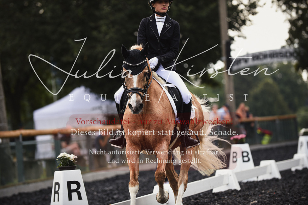 DSC_3839 | Pferde- und Turnierfotografie in Westsachsen. Pferdeportraits, Auftragszeichnungen und intuitive Kunst.