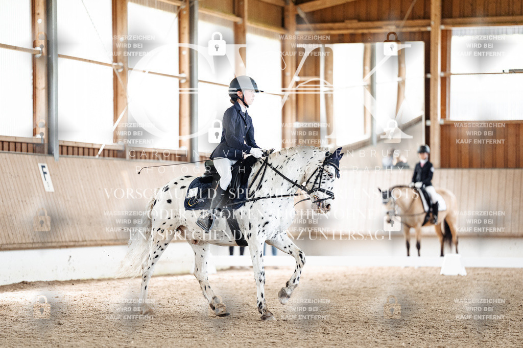 CK901453 | Turnierfotografie Pferdefotografie Trier Rheinland-Pfalz Pferdesport Reitsport Tierfotografie Sportfotografie Pferdevideo Pferdevideografie Equestrianvideography equestrianphotography  - Realisiert mit Pictrs.com