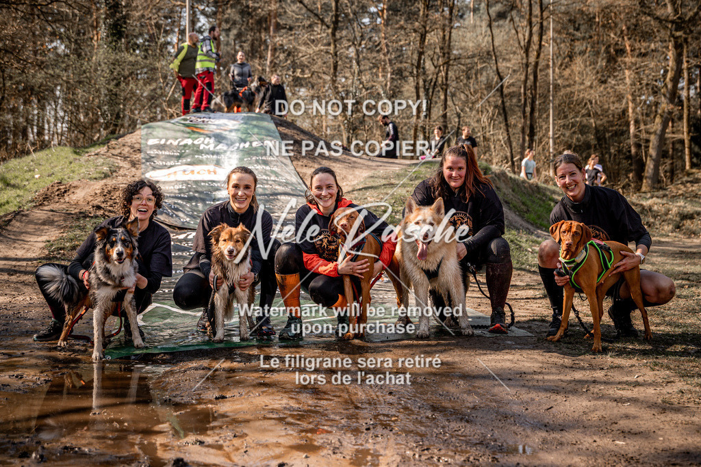 nelerasche_Hulsbeek_So1200-1230_296 | nelerasche