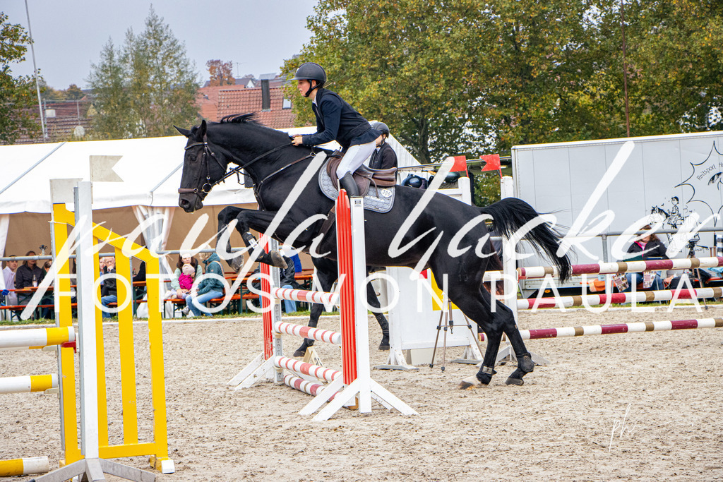 IMG_3323 | Erleben Sie dynamische Sport- und emotionale Tierfotografie in Süddeutschland mit Fotos von Paula. Spezialisiert auf Pferde- und Hundefotografie sowie Sportevents. Kontaktieren Sie mich für einzigartige und ausdrucksstarke Bilder Ihrer besonderen Momente. - Realisiert mit Pictrs.com
