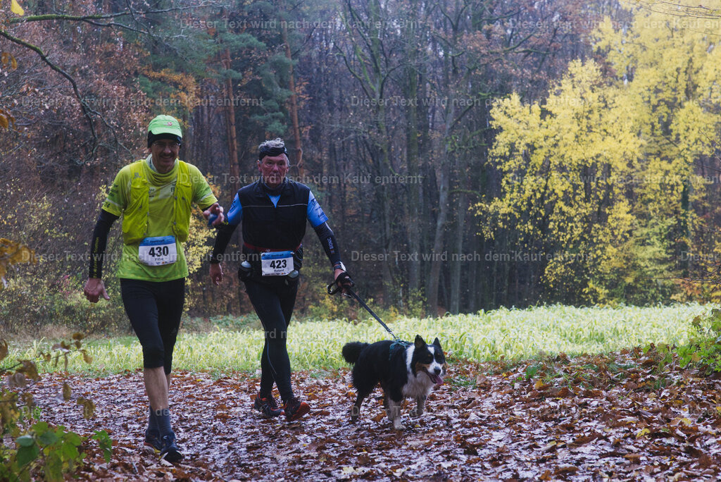 cineathletes-huegelland-2025-11-09-11-42-34 | Sportfotografie rund um Obstacle Course Racing und Trail Run - Realisiert mit Pictrs.com
