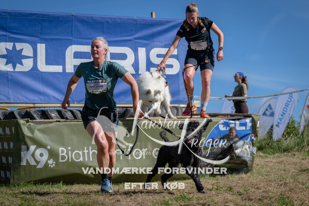 1055_ZZ99682 | kk-dogfotos