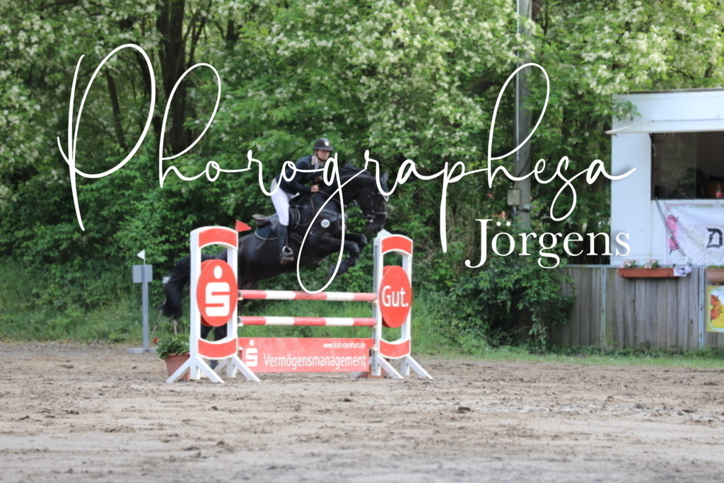 IMG_9073 | photographesa-joergens - Realisiert mit Pictrs.com