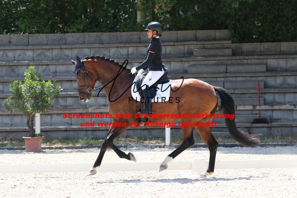 IMG_5239 | lmwpictures - Realisiert mit Pictrs.com