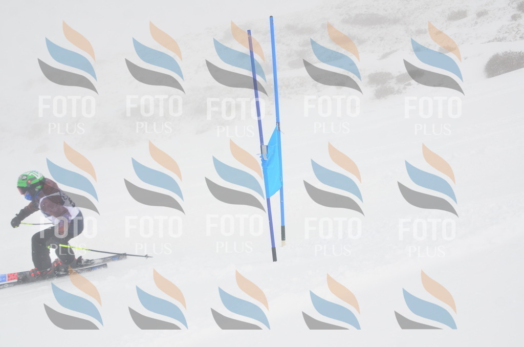 A5402 | holidayphoto