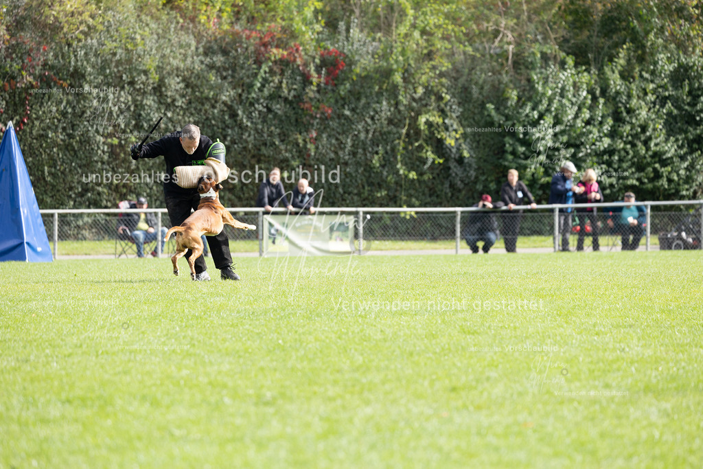 _16A5388 | Einzigartige Fotos von Hunden & Menschen –Actionfotos, Portraits, Vereinsaufnahmen & Paarshootings – authentisch, lebendig & mit Herz.