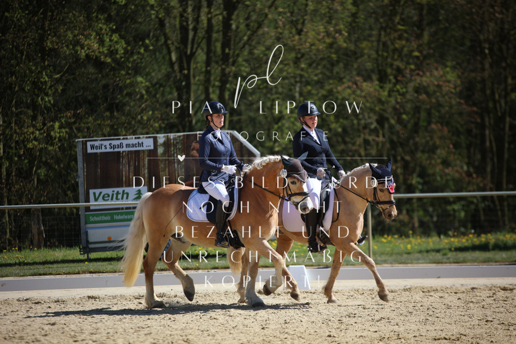 IMGT1684 | pl-fotografie