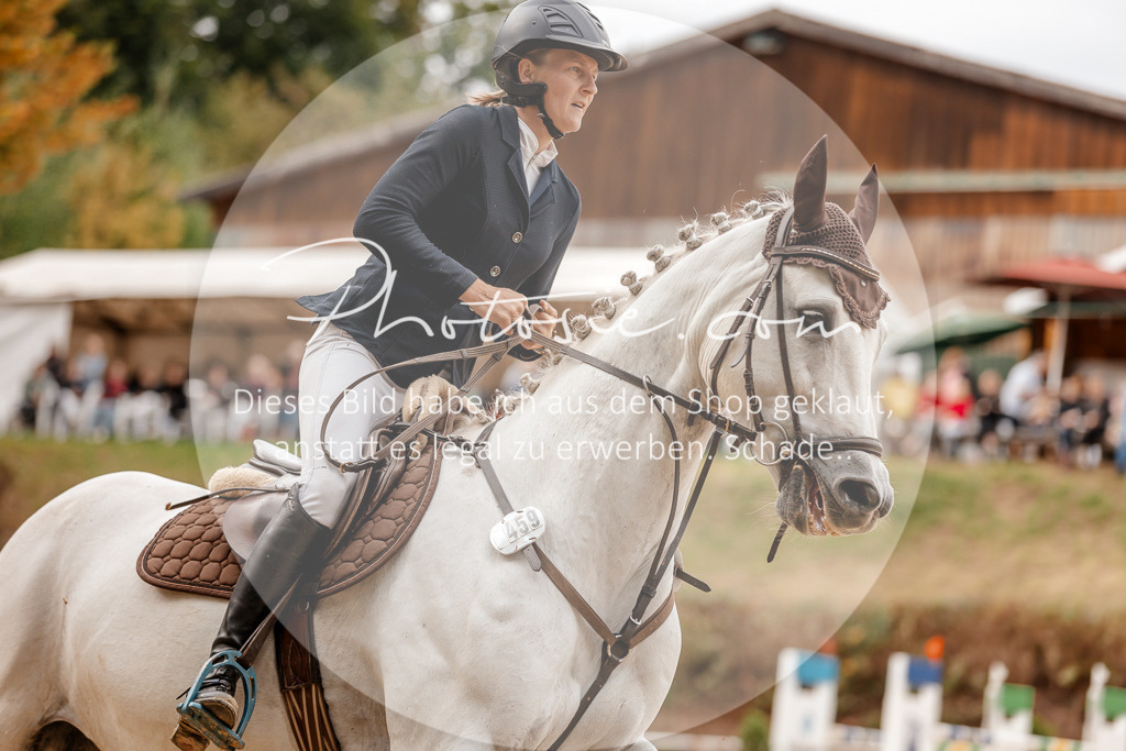 3I6A8211 | Stimmungsvolle Portraits und Reitsportfotografie im Ruhrgebiet und im Münsterland.

Pferdefotografie, Hundefotografie, Tierfotografie, Reportagen, Portraits von Tier und Mensch, Turnierfotografie in Bochum, Recklinghausen, Marl, Haltern am See, Dülmen.. - Realisiert mit Pictrs.com