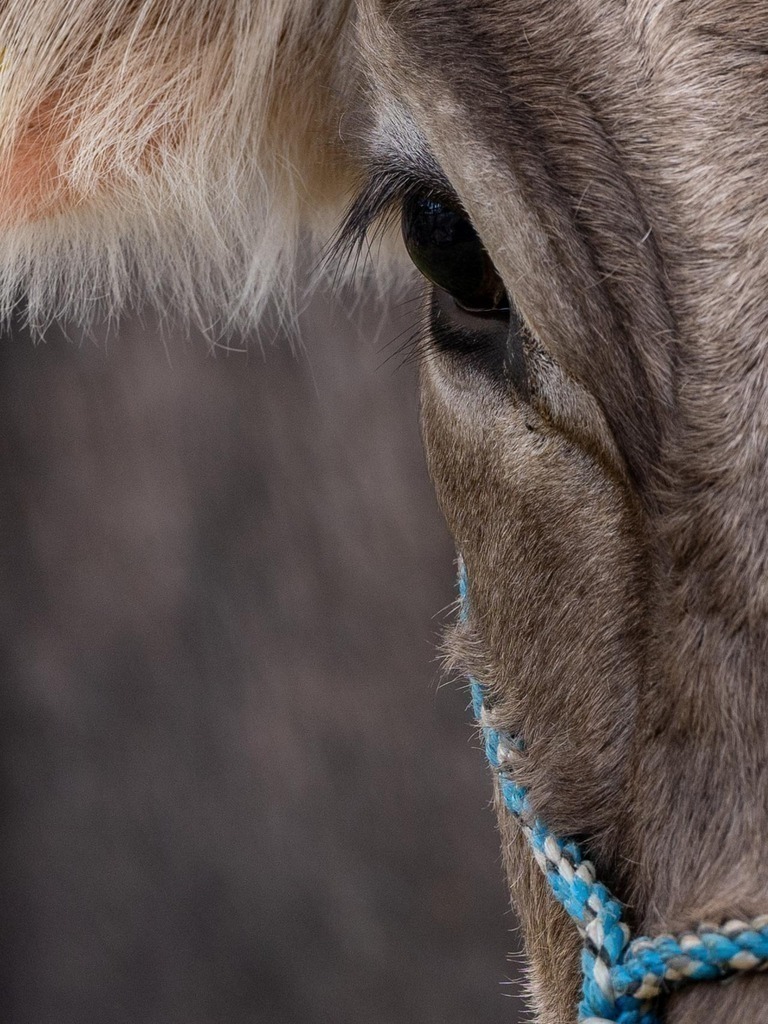 2023_09_23 A7V00136-2 | bridgeman - Realisiert mit Pictrs.com