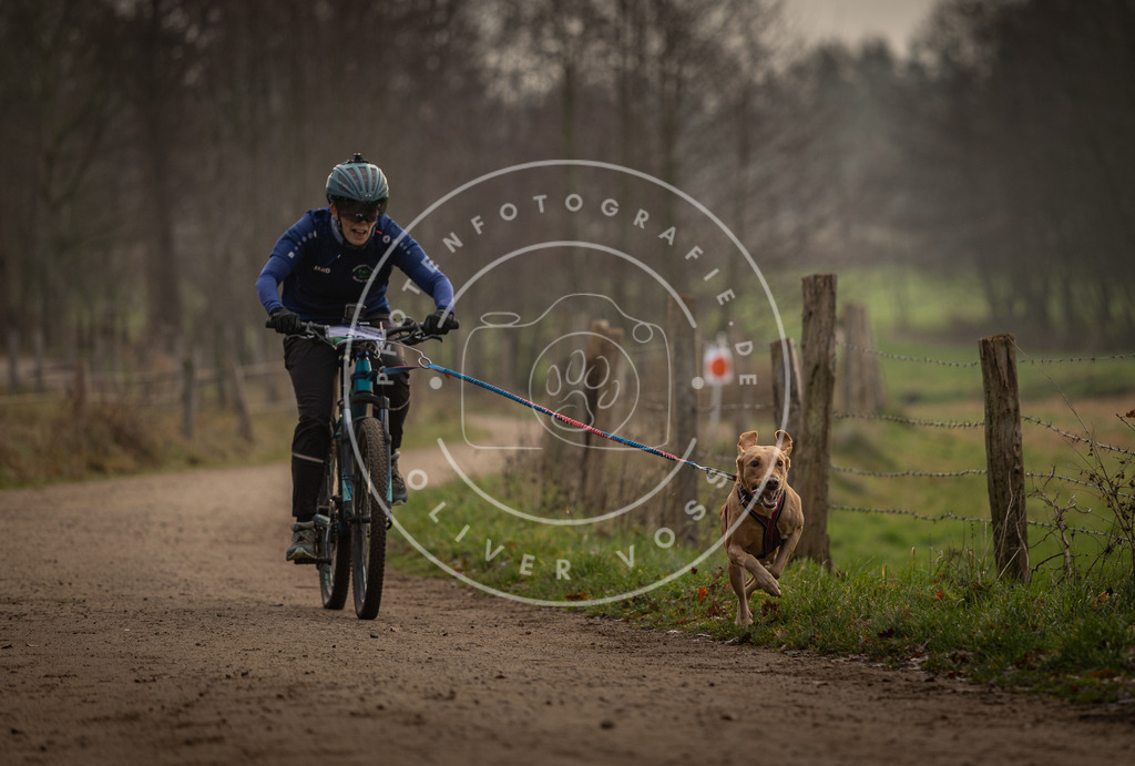 Pfotenfotografie_DV3A1965 | Hundefotografie, Tierfotograf, Pfotenfotografie, Fotoshooting Hund, Hunde Portrait, Hundesport, Hundeportraits, Heideshooting, Hunde, Sportfotograf, Hundefotograf, Turnierhundsport, THS,  - Realisiert mit Pictrs.com