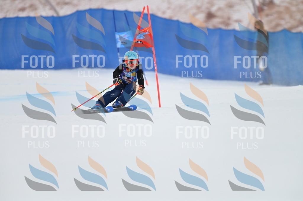 BGV_9932 | holidayphoto